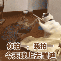 示例图片